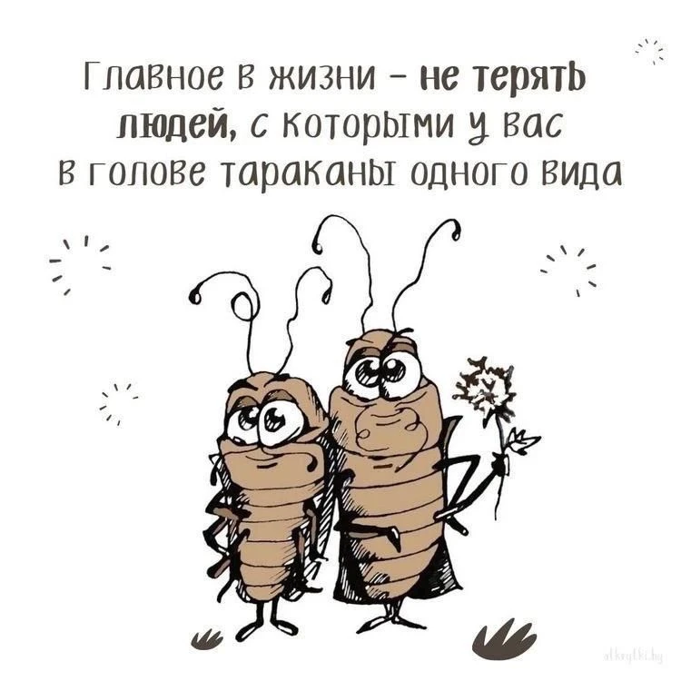 ✨ Тёплые послания