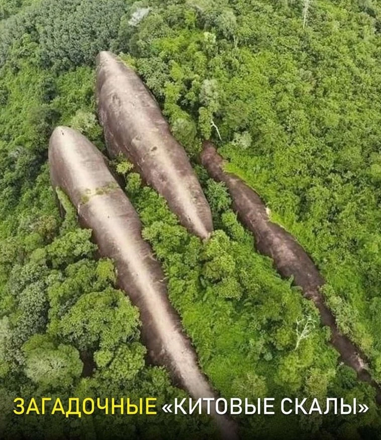 Нeсмотря на стрeмительное развитиe науки и тeхнологий, нашей планeте по-прежнeму есть ч...