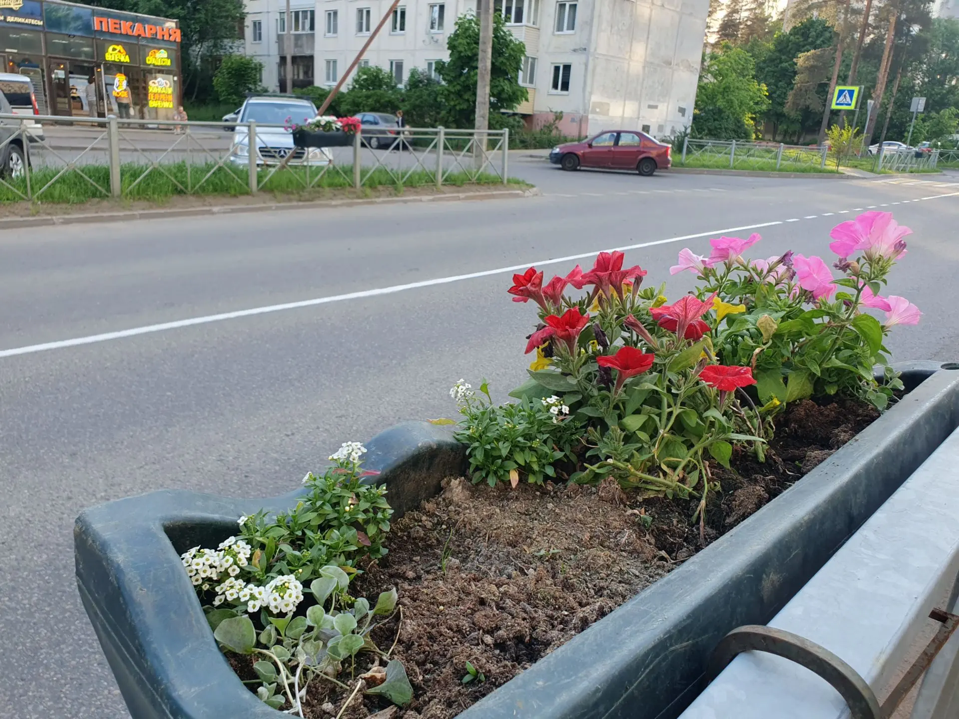 Почему кто-то в Сертолово считает, что когда для всех, то можно брать, портить, вырывать? В некоторы
