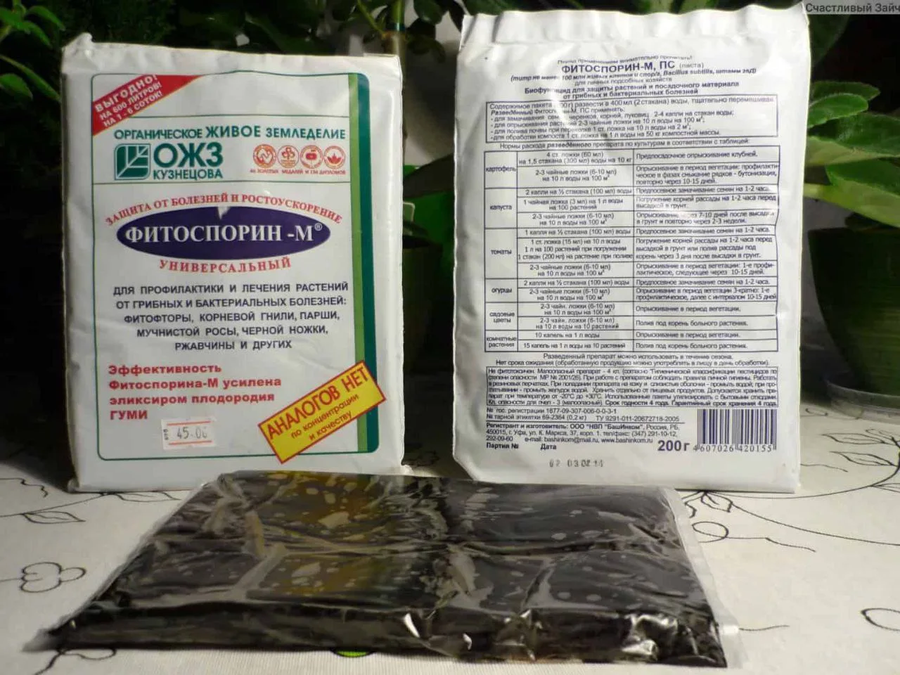 Фитоспорин-М: чем хорош этот препарат и от каких болезней помогает

В его основе – живые споры сенно
