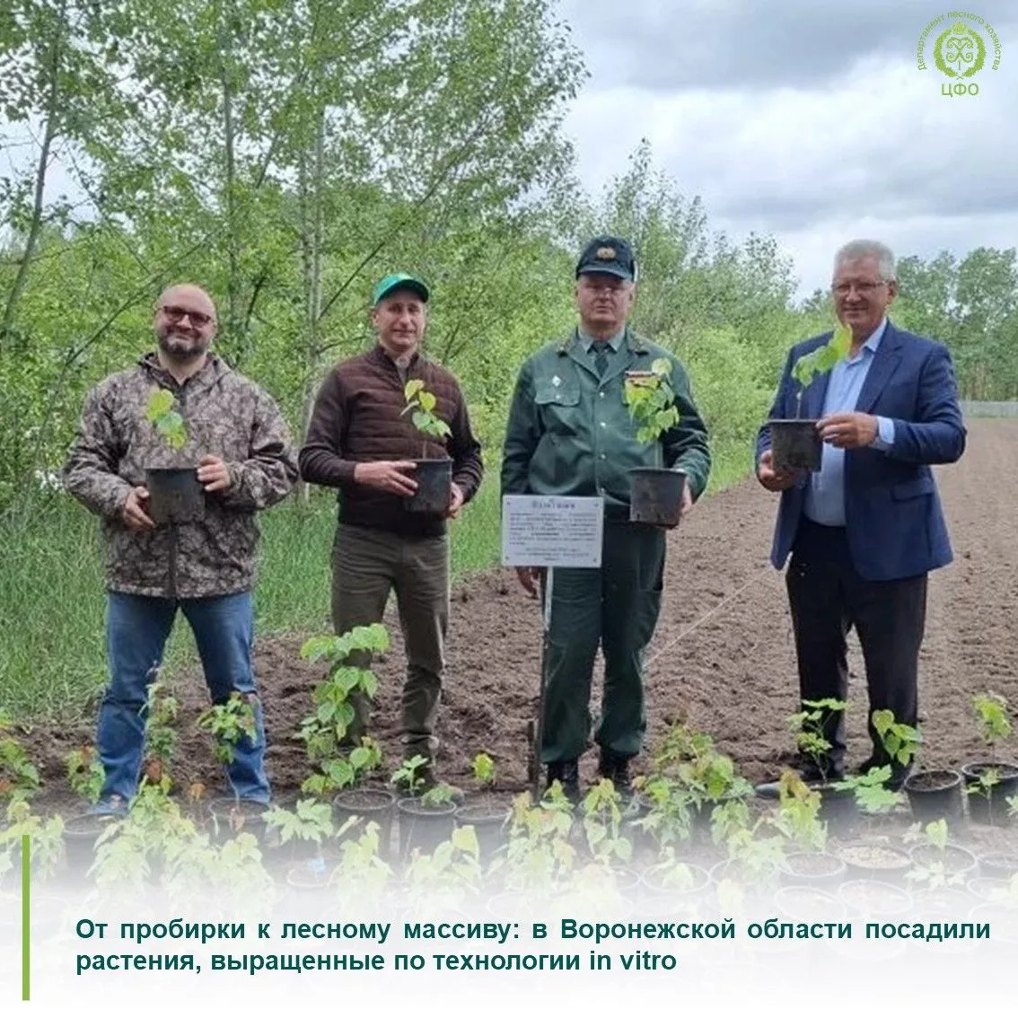 💫Уникальный научный эксперимент стартовал в Бобровском лесничестве.