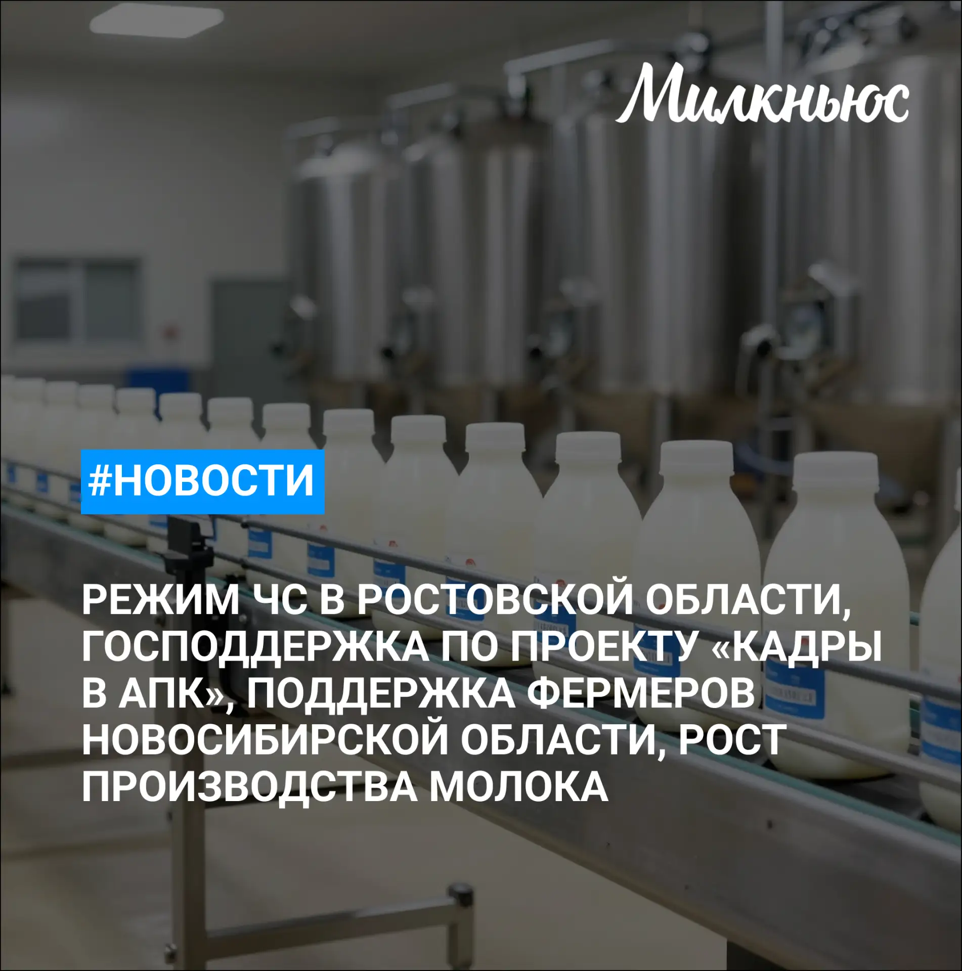 🐮 ГК «ЭкоНива» нарастила производство молока в I полугодии на 4%