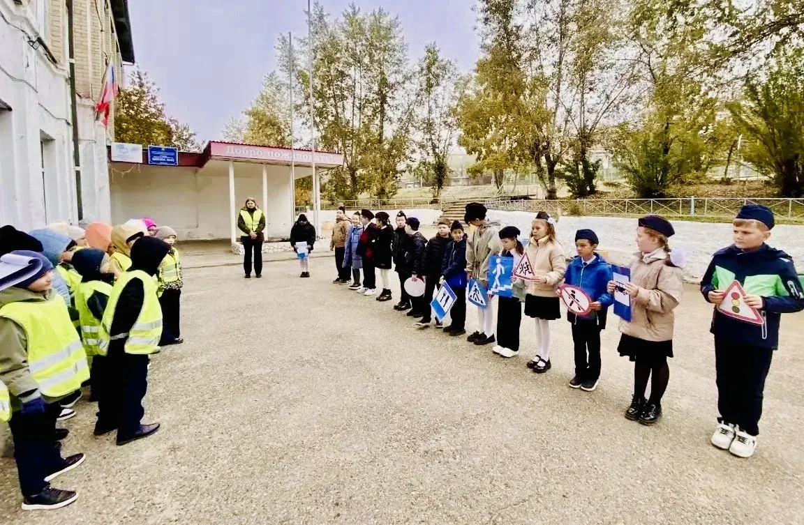 🚦 Посвящение в пешеходы: Чита зажигает зелёный!