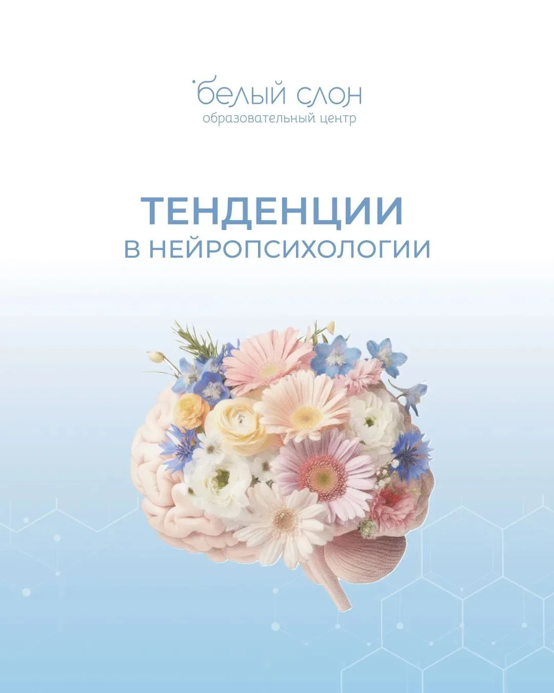 Замечали ли вы этот тренд? Что думаете?