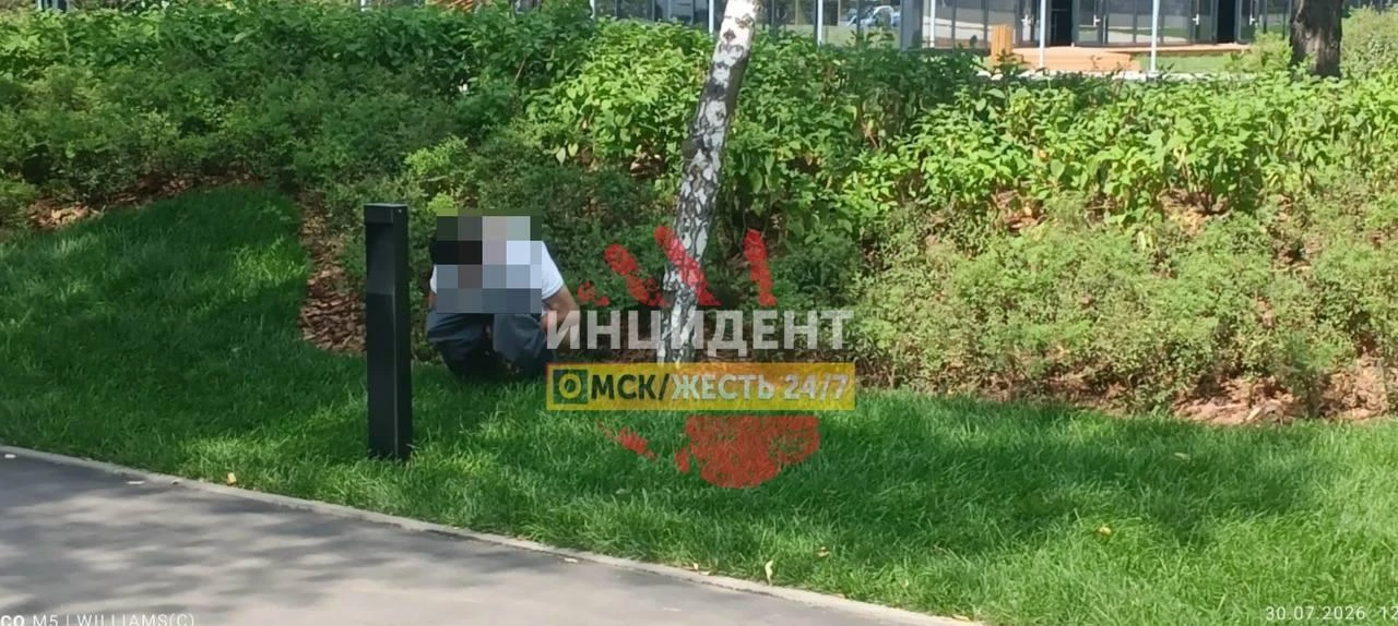 В центре города заметили мужчину, который решил совершить свои грязные делишки прямо у тротуара 

📱