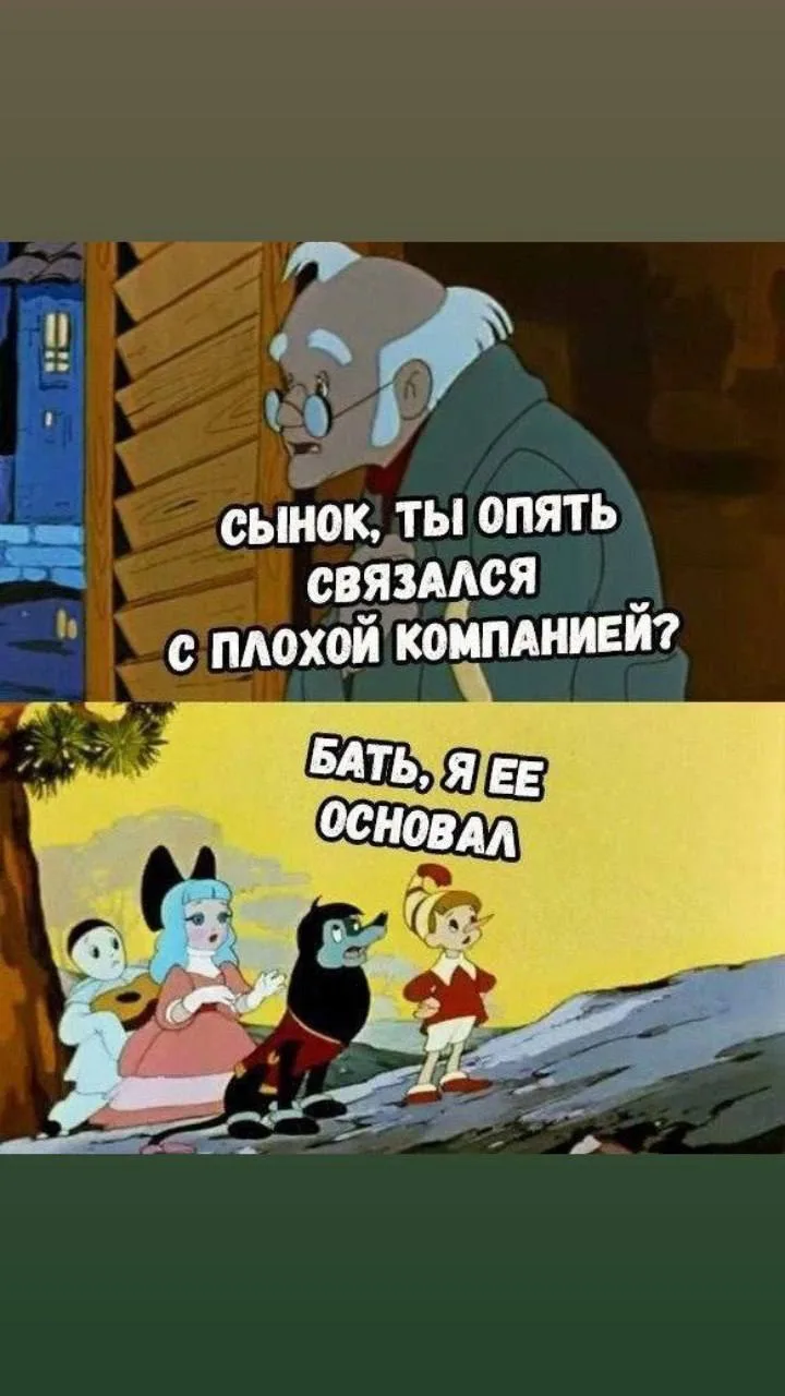 Когда жалуются на некомпетентное руководство. 🦮