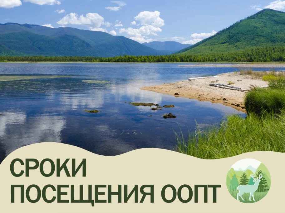 С 31 августа находиться в природных заказниках Приангарья – запрещено