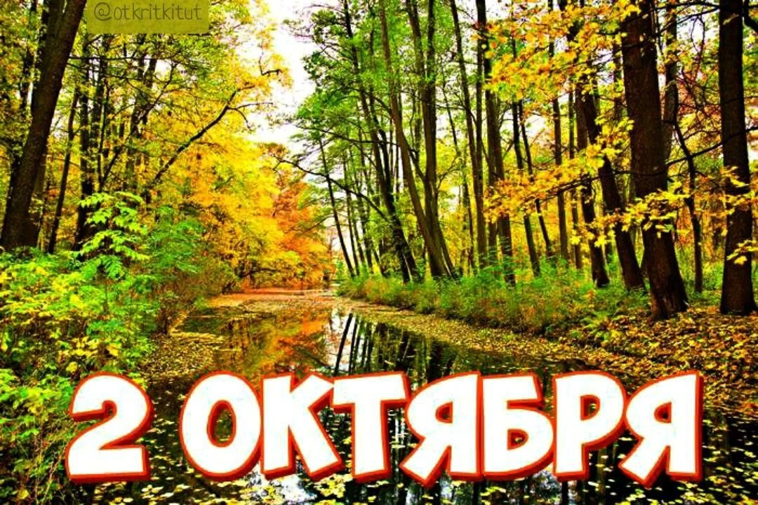 Праздники 2 октября 🍁