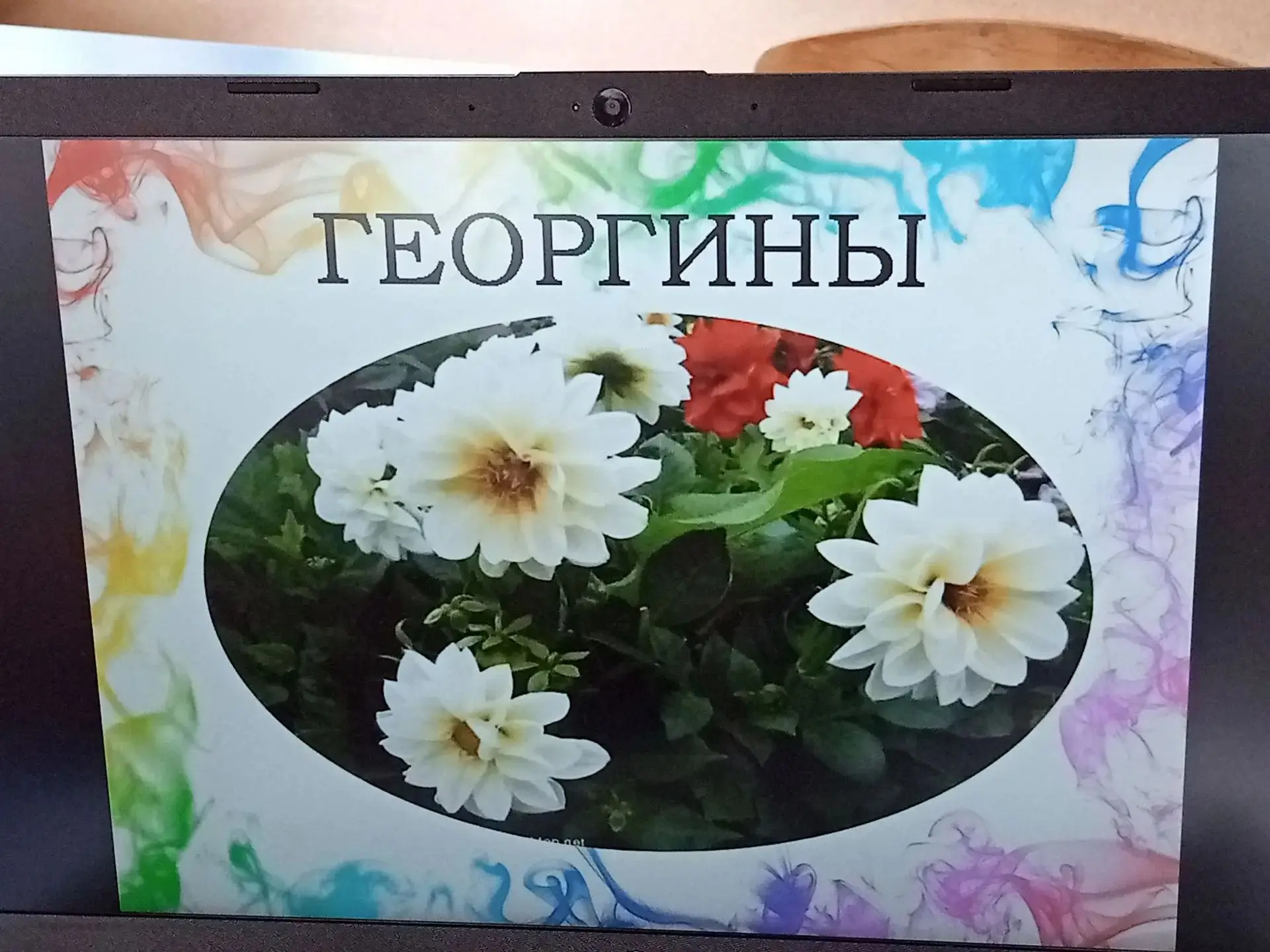 🌼 Дети из младшей группы детского сада "Радуга" г. Сурска изучают мир цветов! 🌸