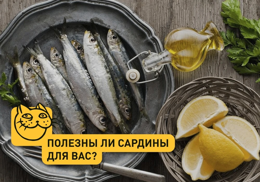 Сардины – это общий термин, используемый для ряда видов мелких жирных рыб семейства сел...