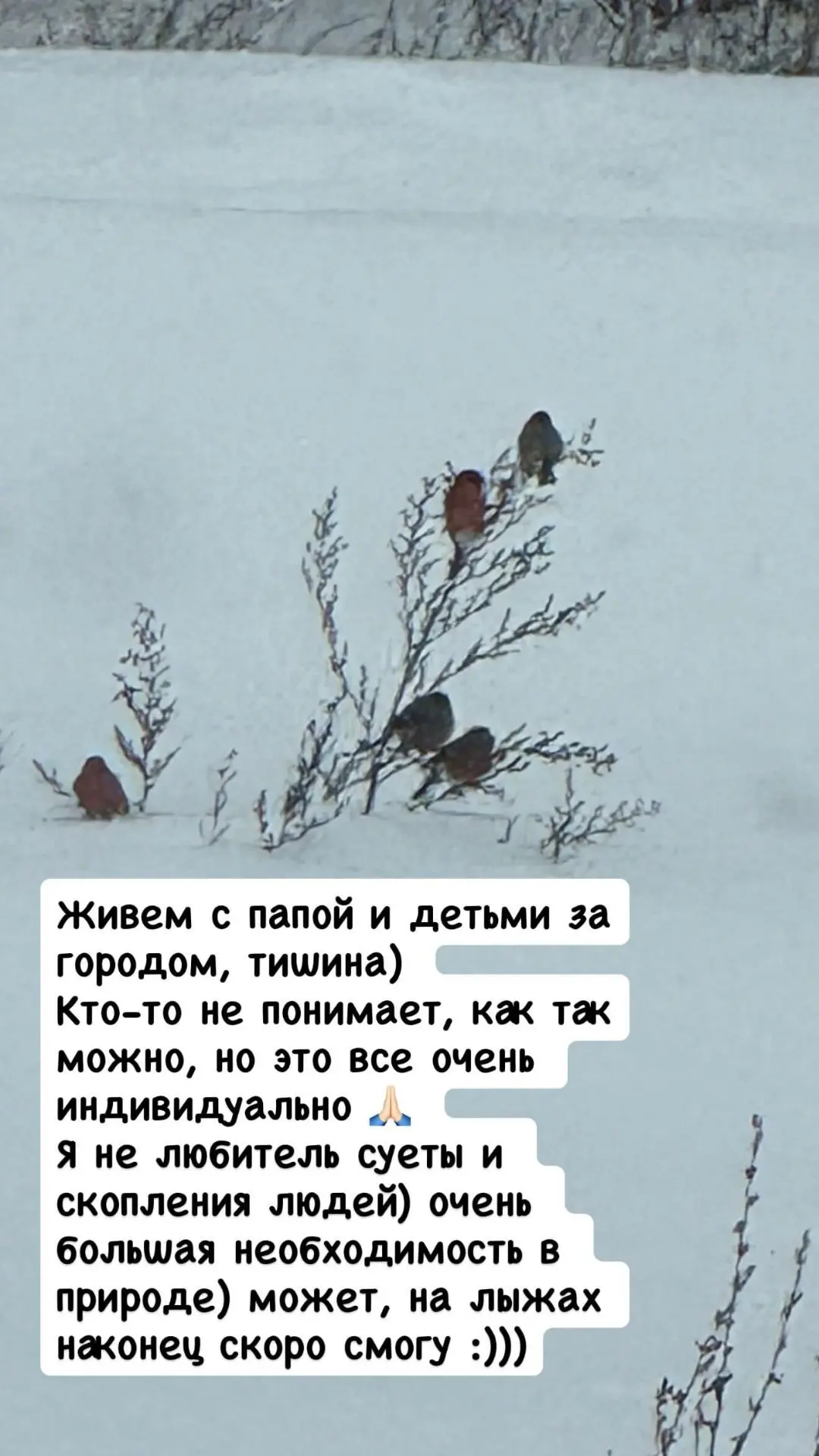 Дорогие мои, всем большое спасибо за такие тёплые поздравления — прочла каждое, очень приятно 🙏❤