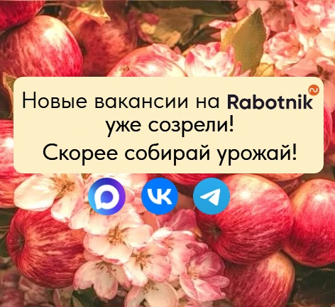 🍎 Лето — время собирать урожай.