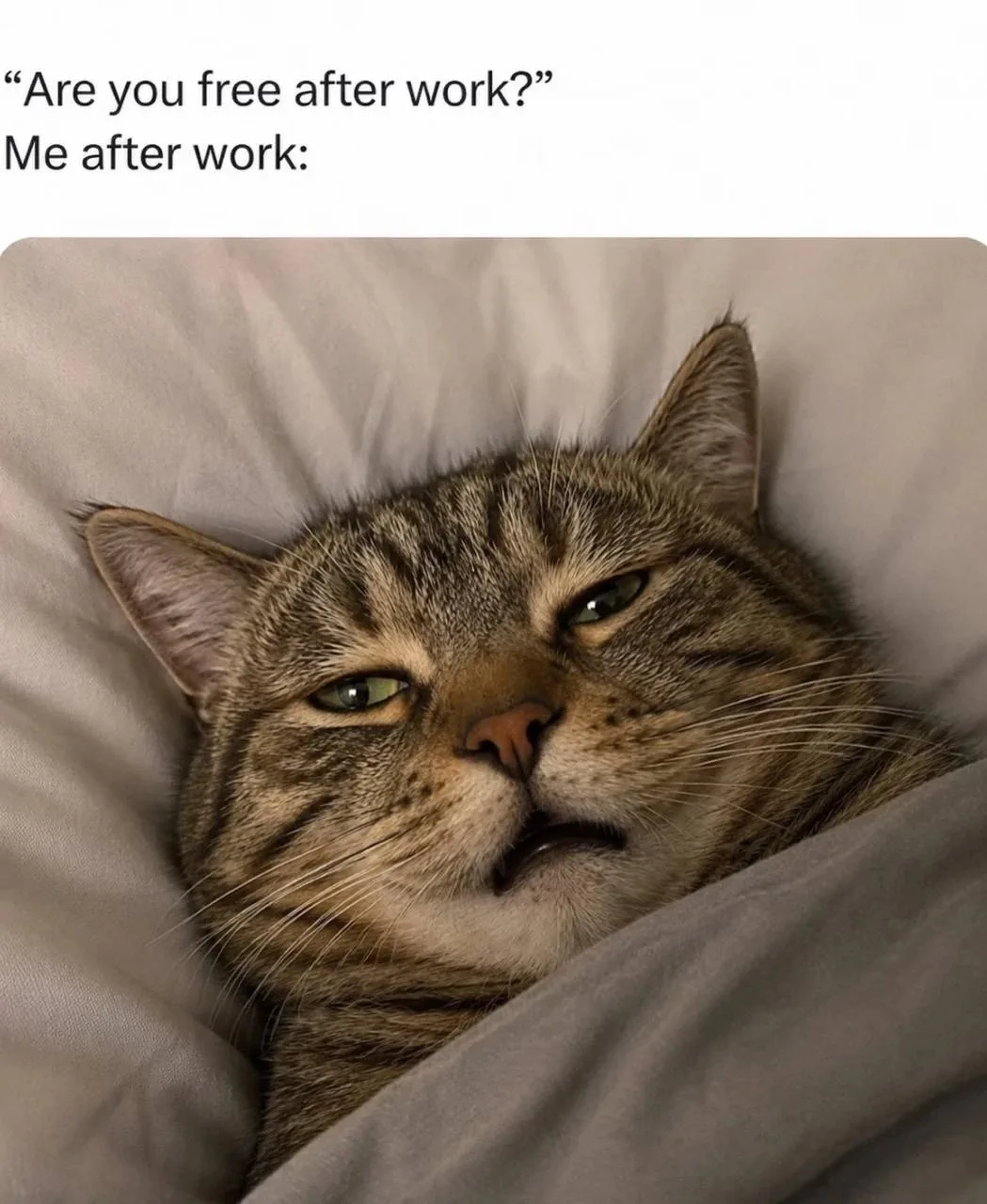 Mood от создателей: