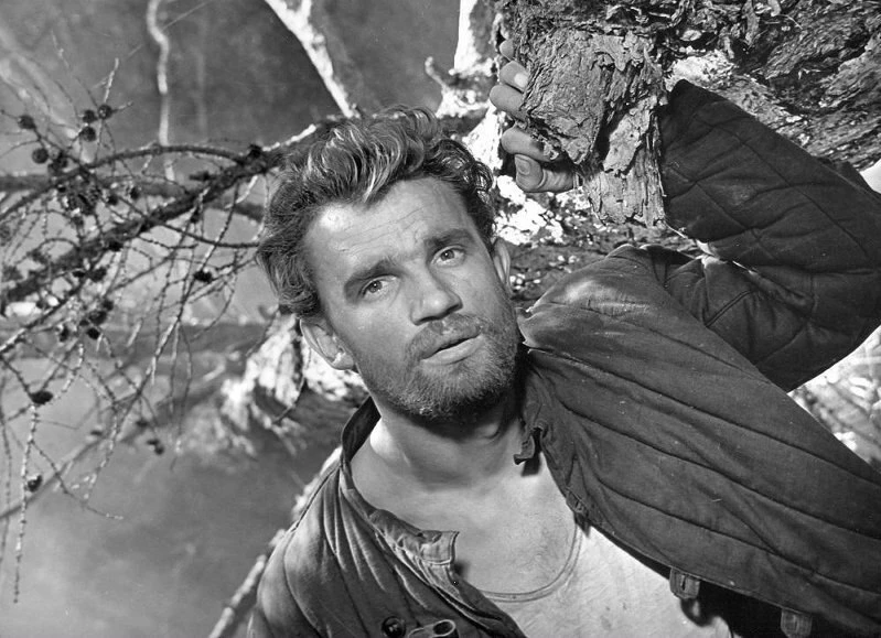 Евгений Урбанский в картине «Неотправленное письмо», 1959 год.