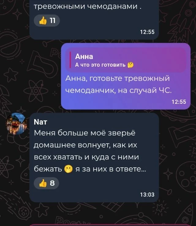 🐕🎒 Тревожный чемоданчик питомца и некоторые советы на случай ЧС 

Мы уже поняли, из комментариев, 