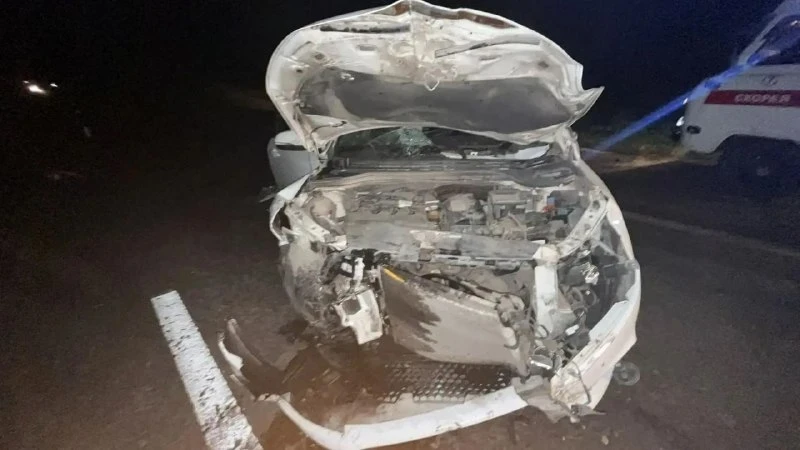 🚗 Водитель и лошадь погибли в ДТП под Новокузнецком