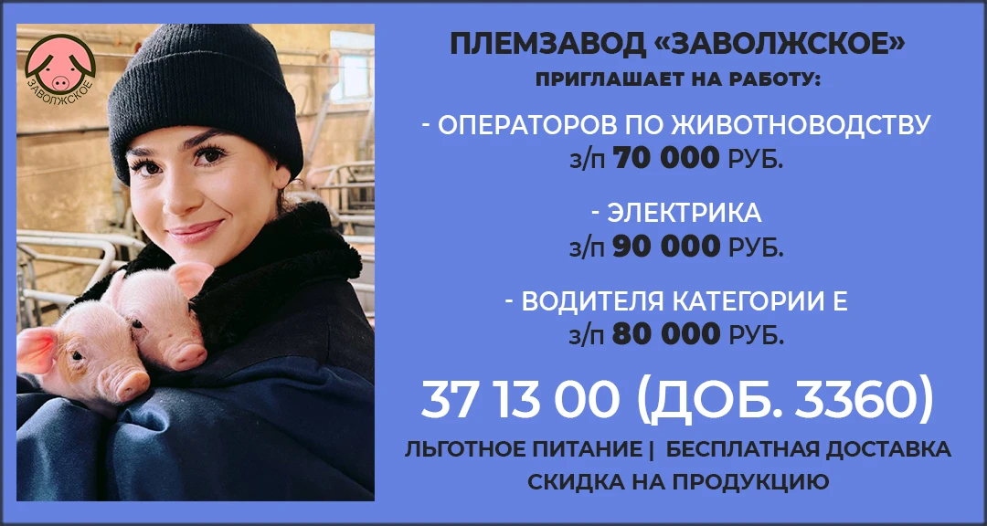 АО Племзавод «Заволжское» приглашает на работу:  – операторов по животноводству, заработная плата 70