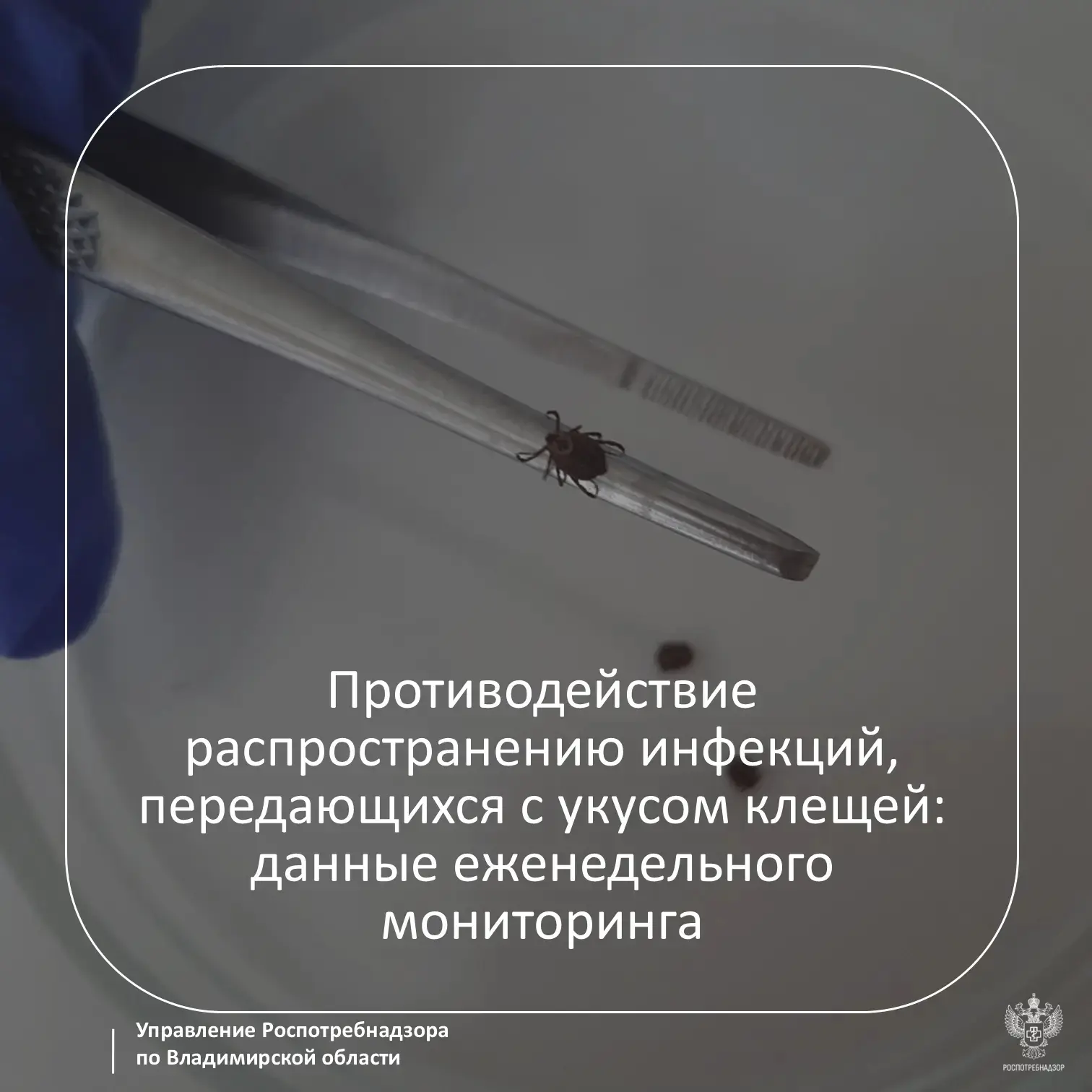 Управлением Роспотребнадзора по Владимирской области проводится еженедельный мониторинг за КВЭ и дру
