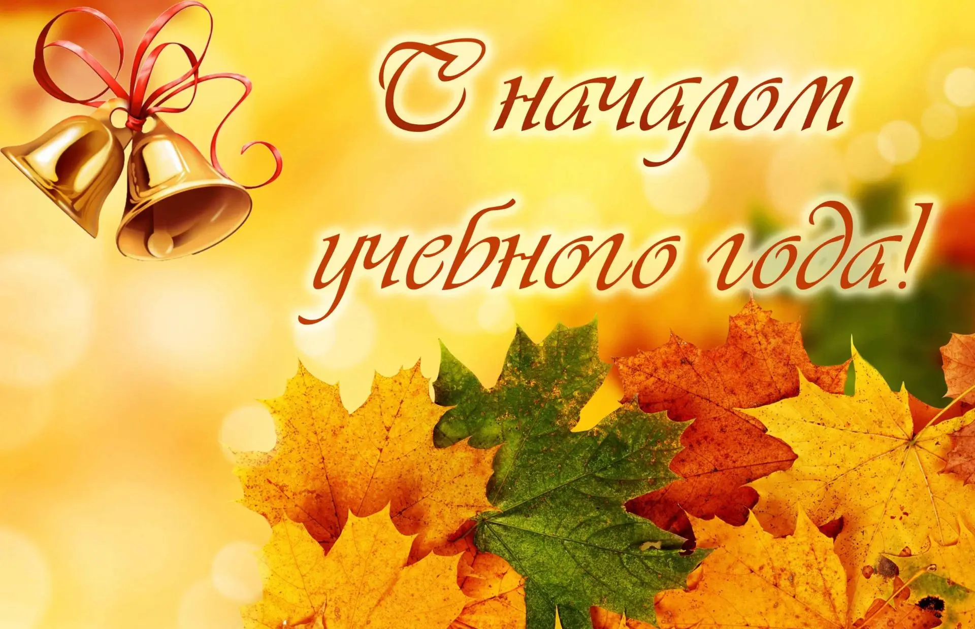 🔔 Поздравление с 1 сентября от администрации МОУ гимназии № 1 им. Л.И. Белова г. Галич...