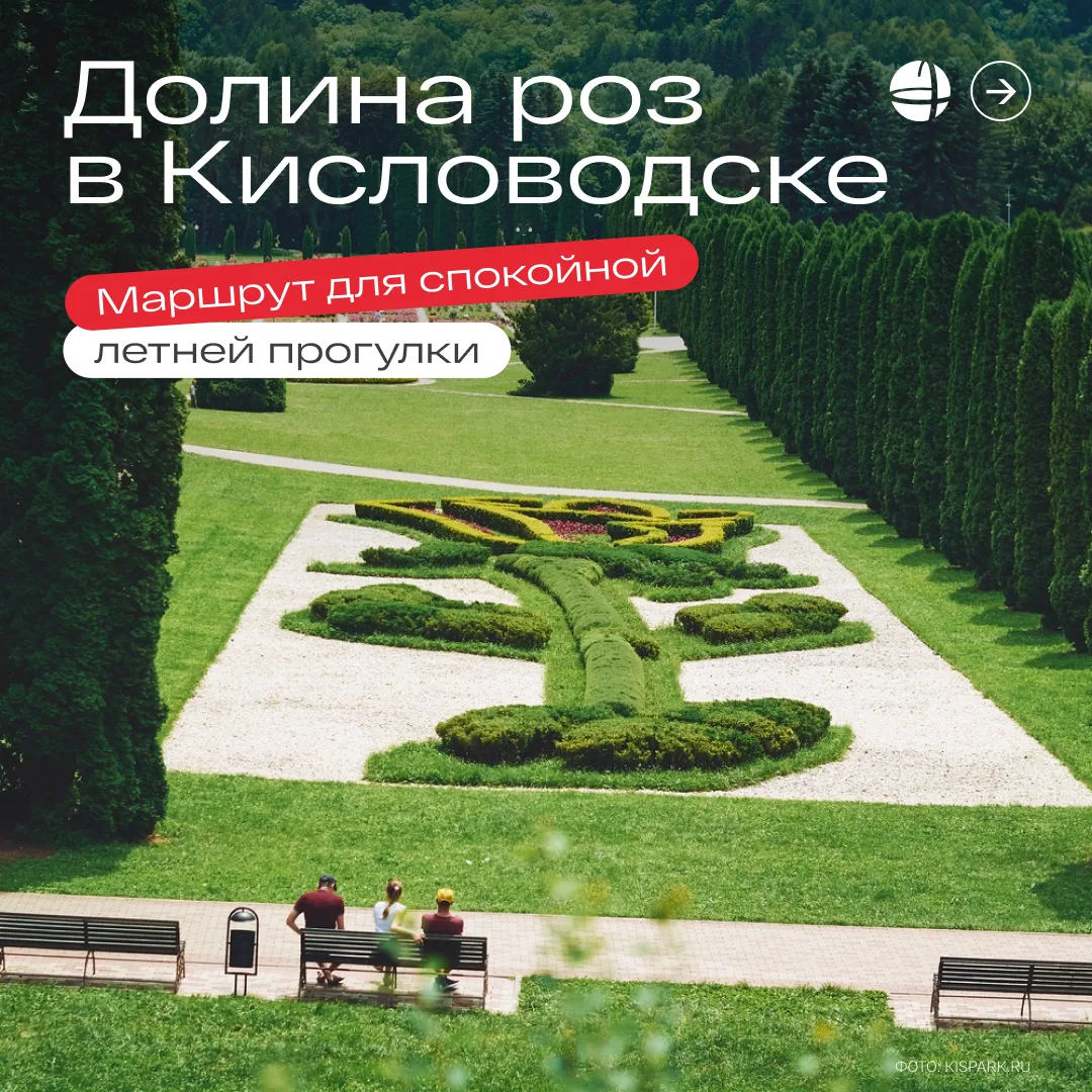 Вот она – царица цветов 🌹