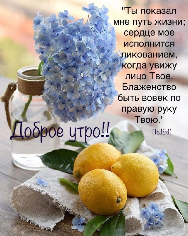 ❤️❤️❤️❤️Открытки❤️❤️❤️❤️