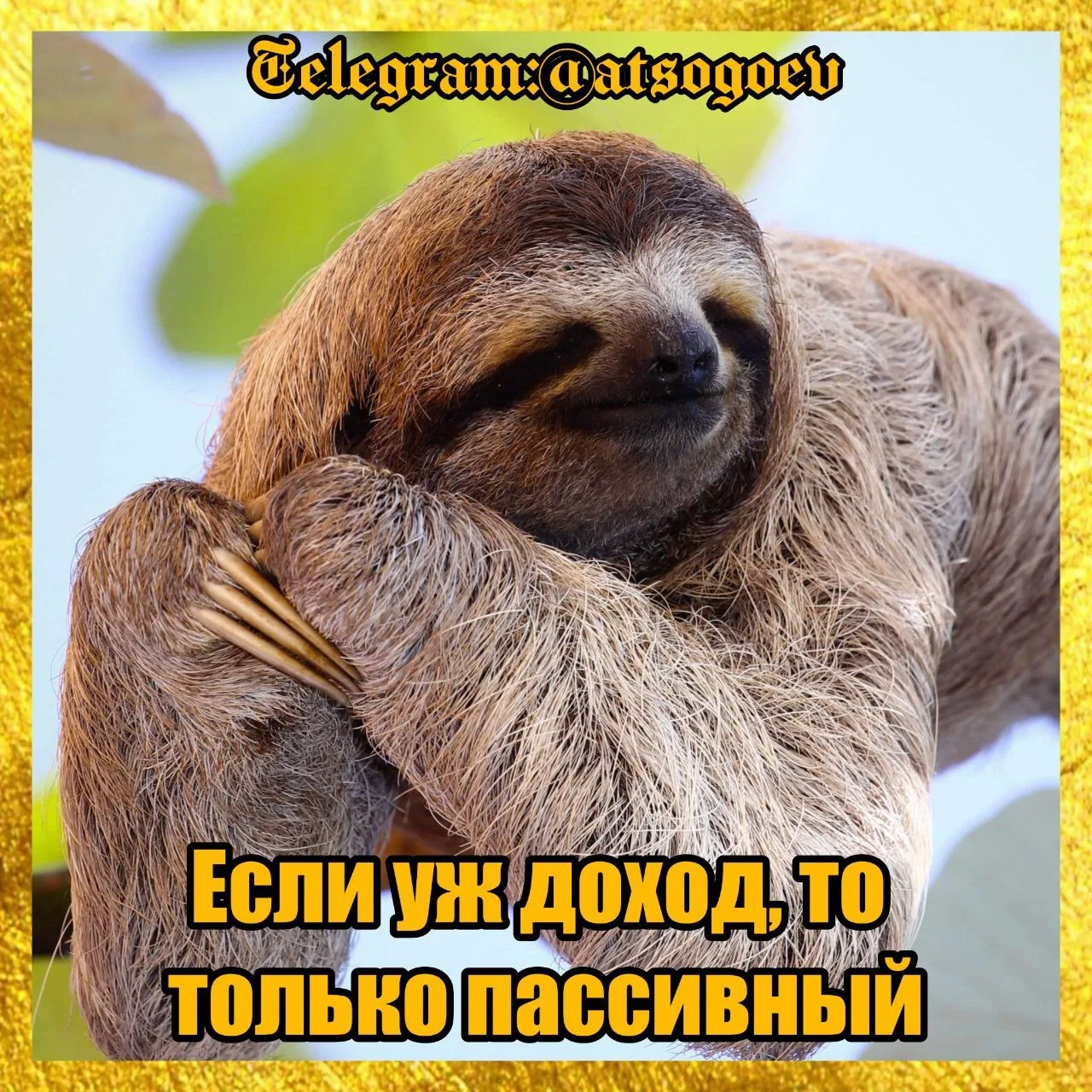 NEET!!!

👀 А ведь существует такой тренд - Not in Education, Employment or Training (NEET). Отказ о
