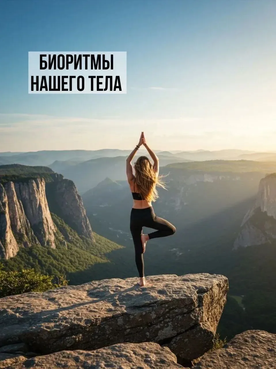ЧАСЫ РАБОТЫ НАШЕГО ОРГАНИЗМА