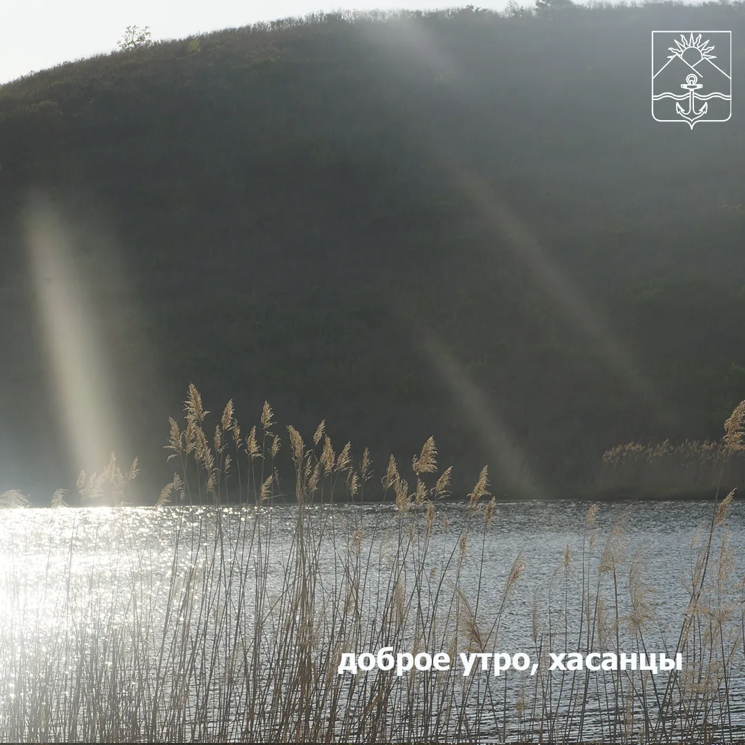 🌤Сегодня переменная облачность  🌙Ночью +5...+6°  🌟Днем +11...+12°  💨Ветер южный слабый с порывами до