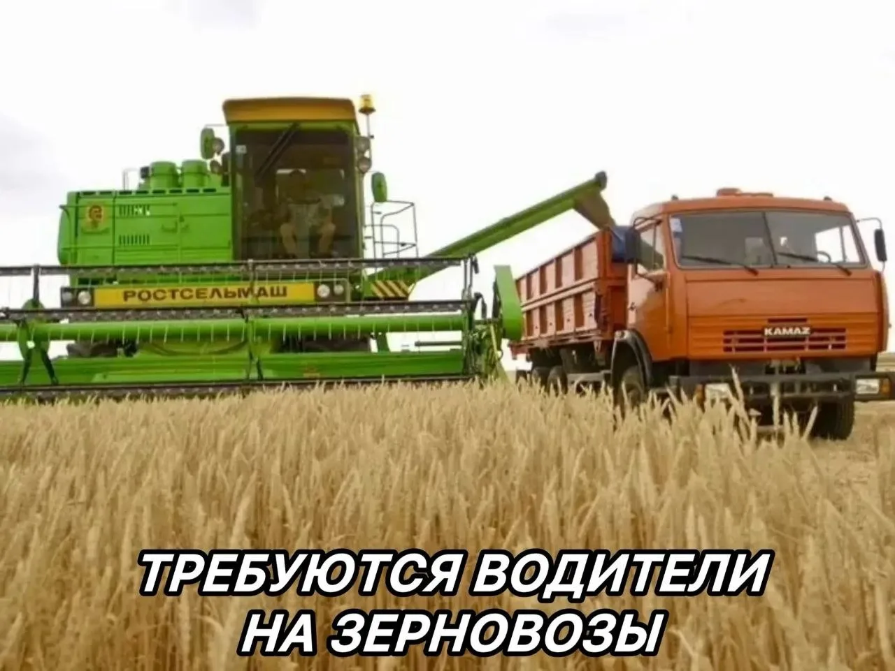 Предприятию Гранари Ресурсы на постоянную работу требуются водители на зерновозы.

Требования к канд