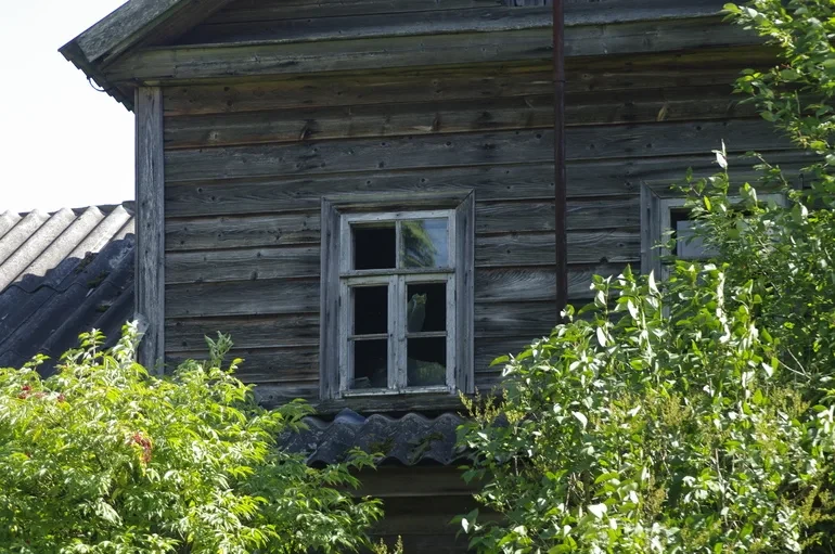 🔑 Спрос на дачи в Ленобласти падает: почему садоводы продают участки?