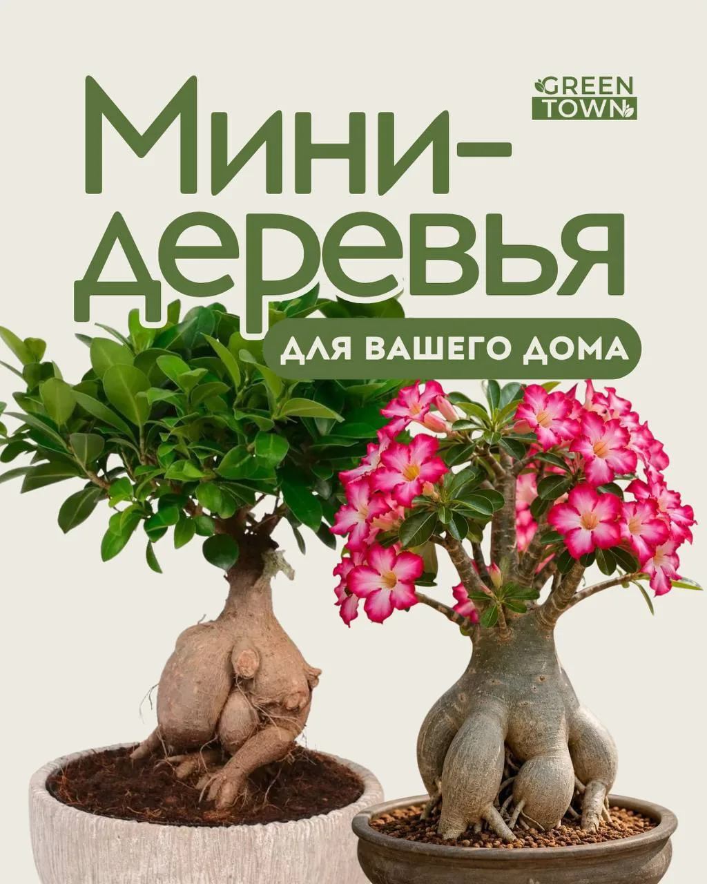 Когда захотелось по настоящему лесной атмосферы!🪴😉