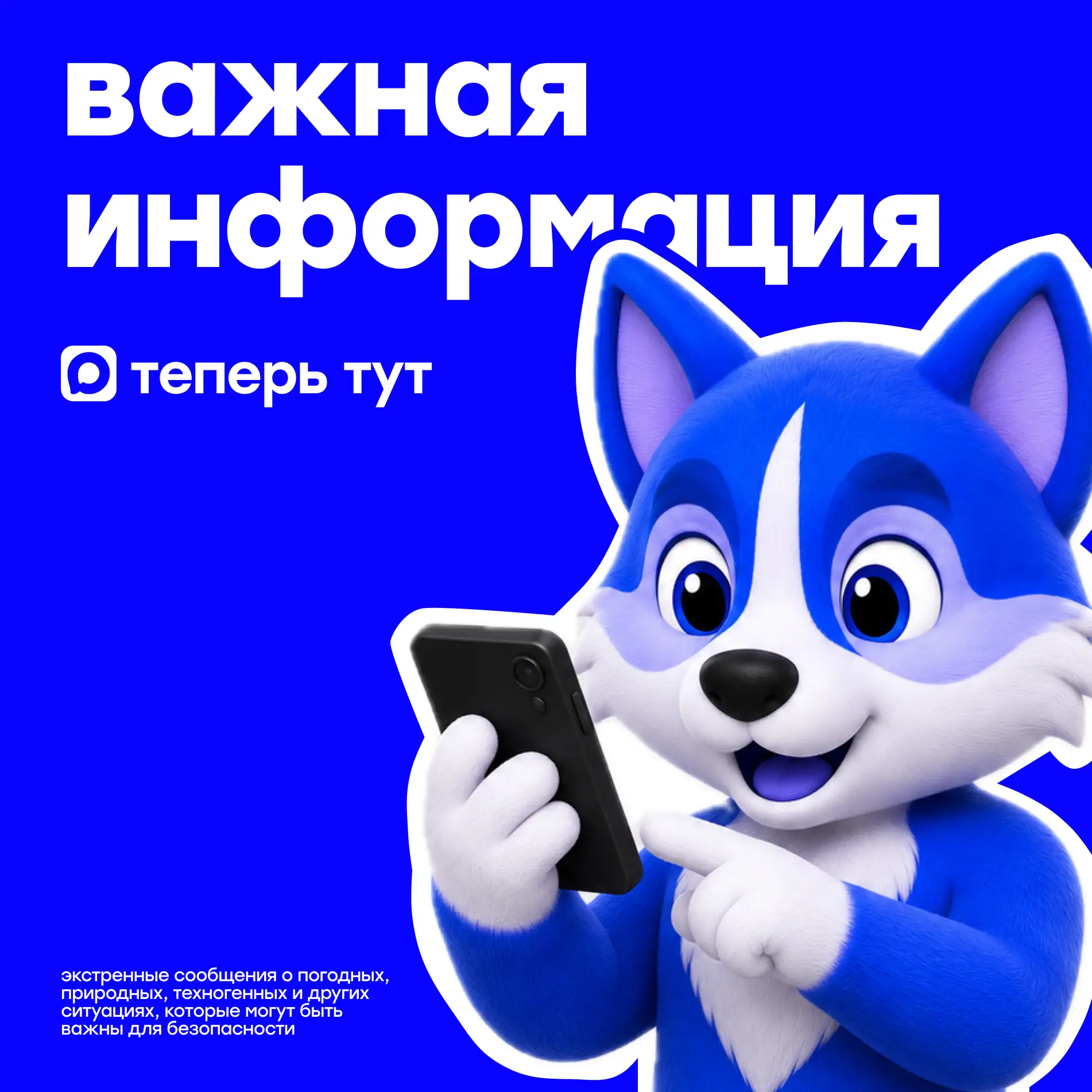 Важная информация — теперь ещё ближе 📲