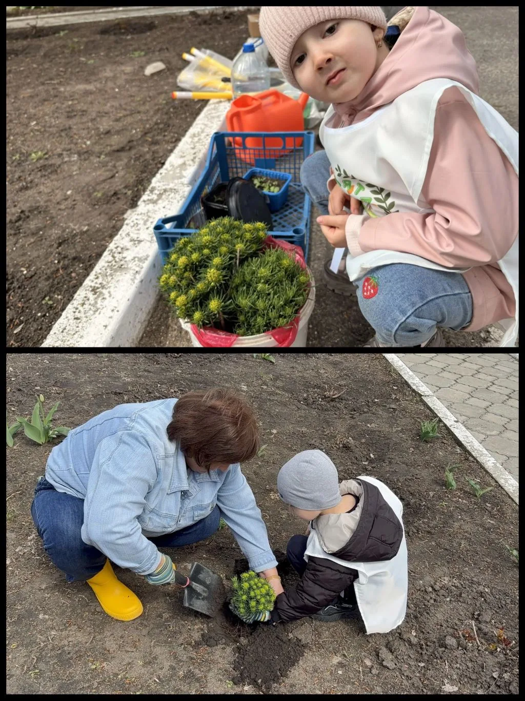 Посадка цветов на участке детского сада🌷