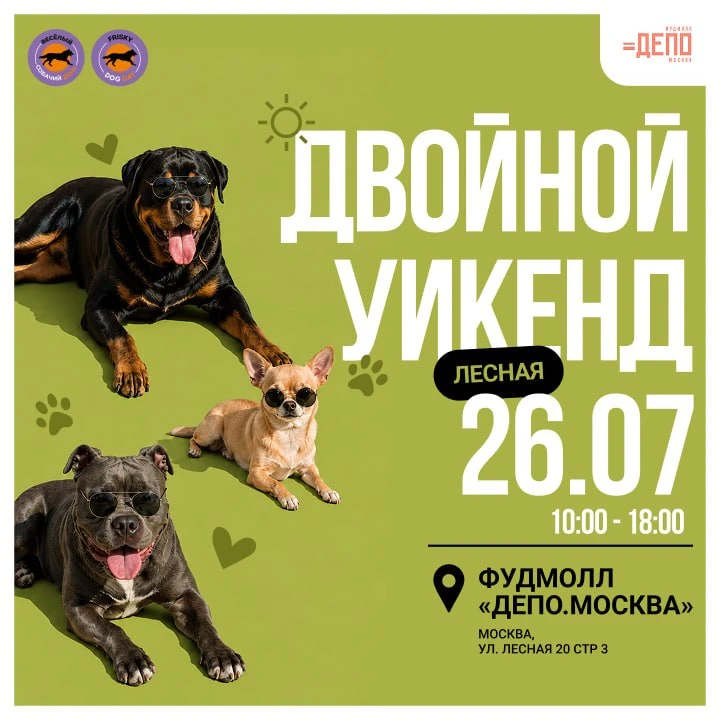 Веселый собачий день

маркет с товарами для питомцев;
лекция, мастер-класс
нюхательная зона с поиско
