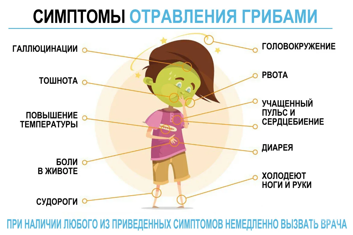 ГрОбный грибной сезон открыт