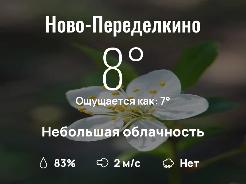 Что с погодой в Ново-Переделкино?