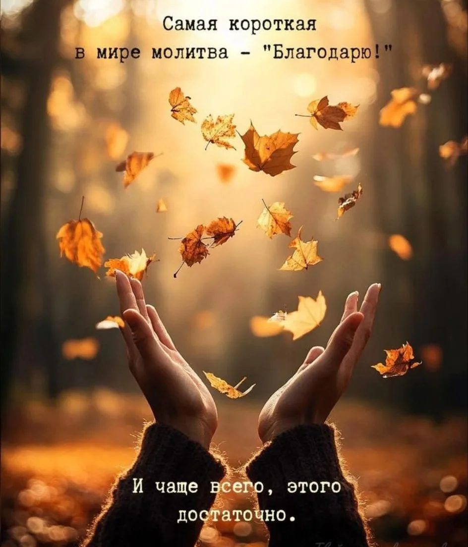 2 октября - Пятница