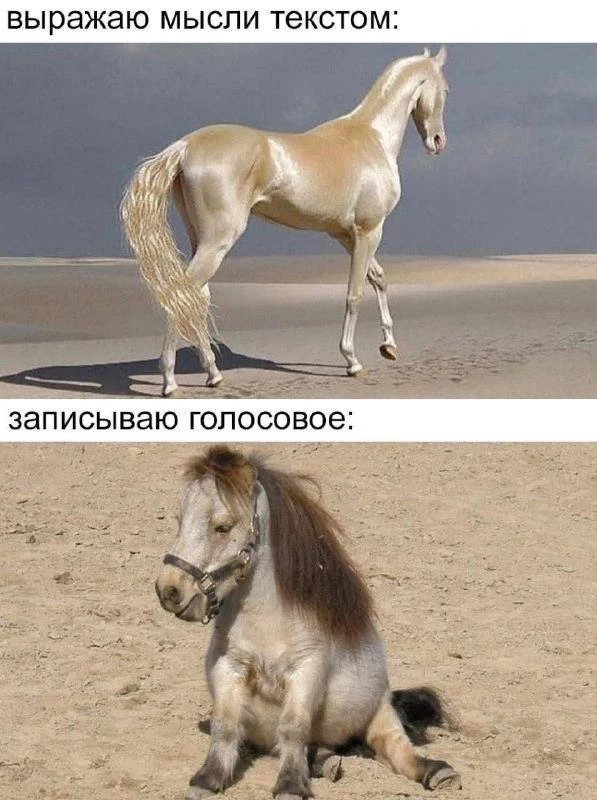 Как вы предпочитаете?
