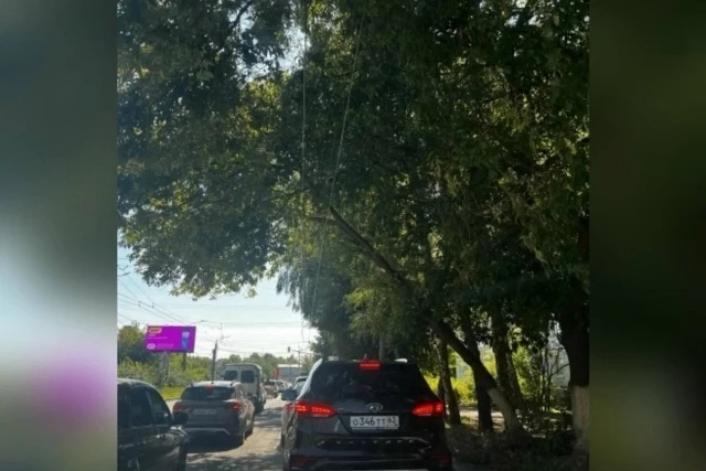 В Рязани дерево повисло над проезжей частью