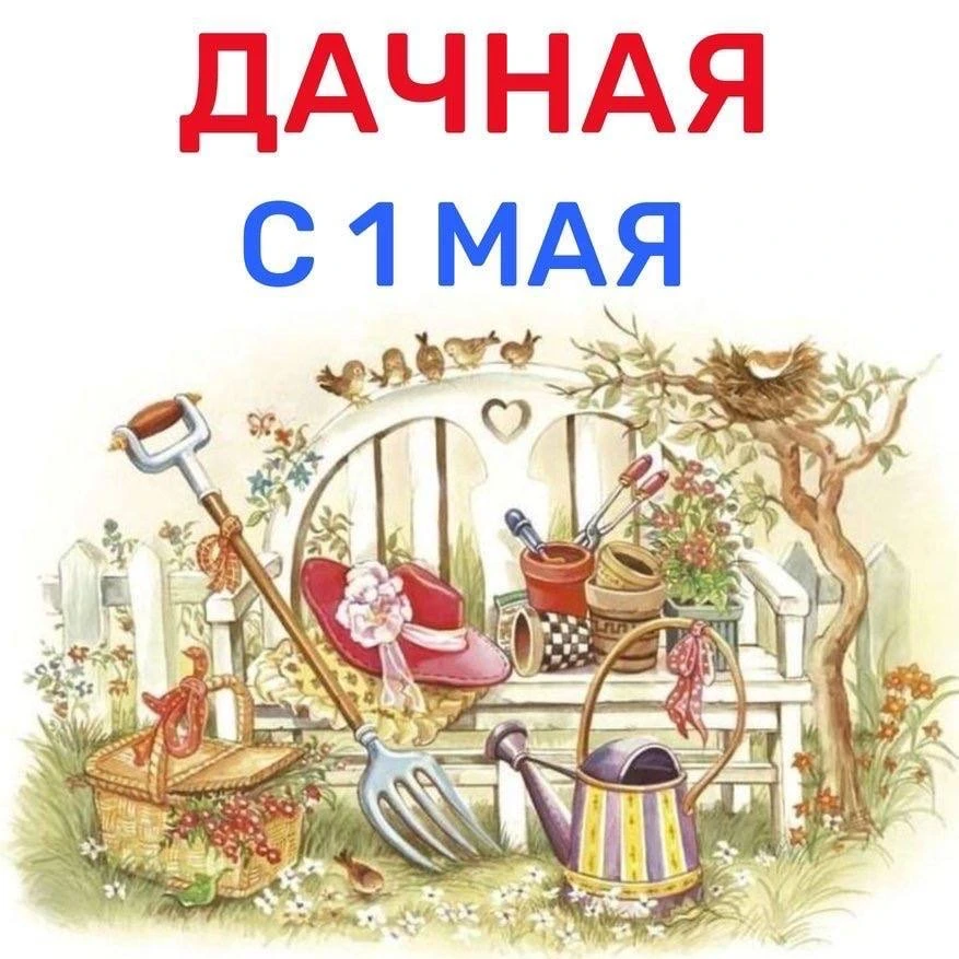 СТРОЙНЕЕМ НА ДАЧЕ! 🌻