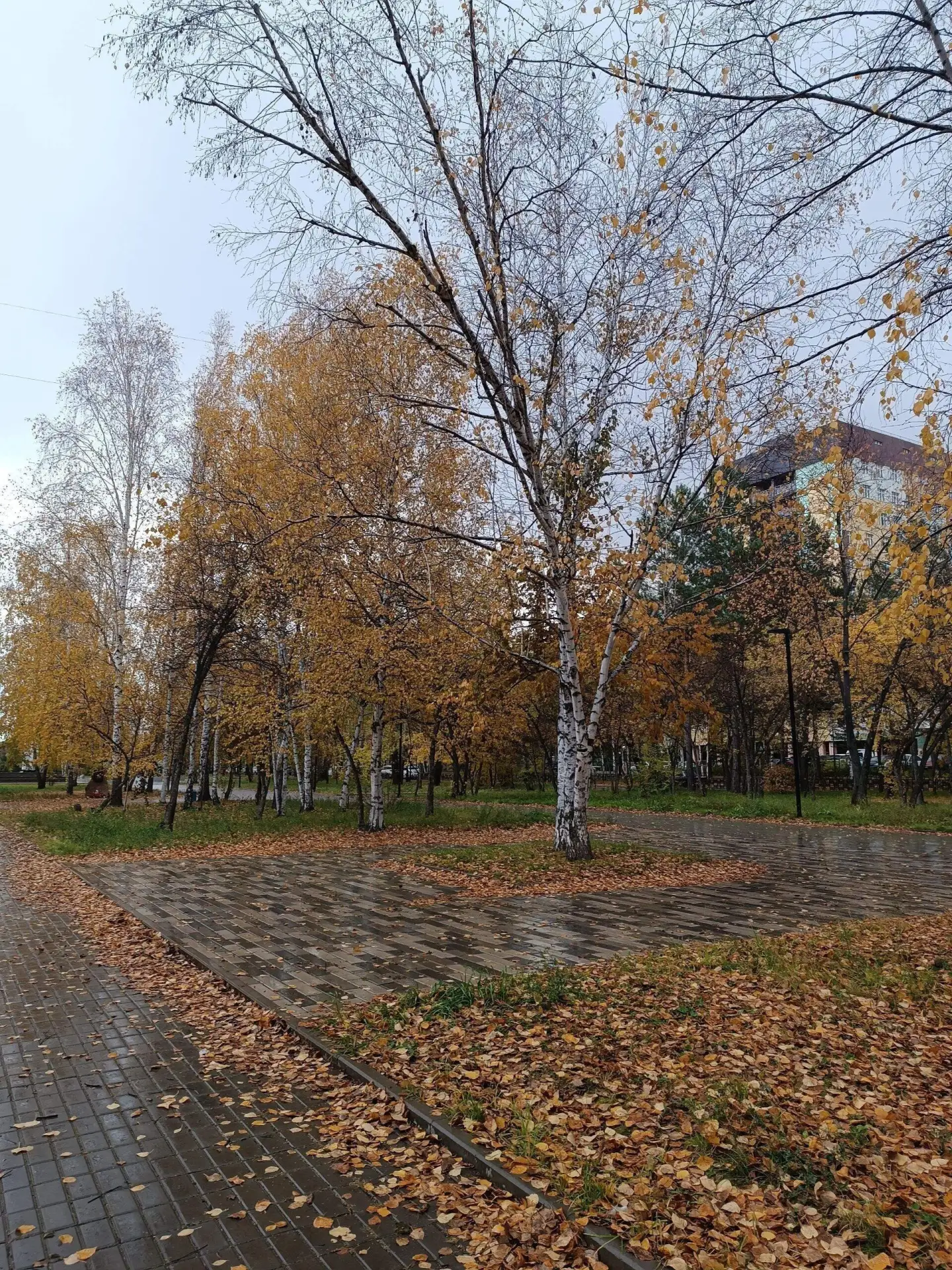 Погода в Сосновоборске на 1 октября: