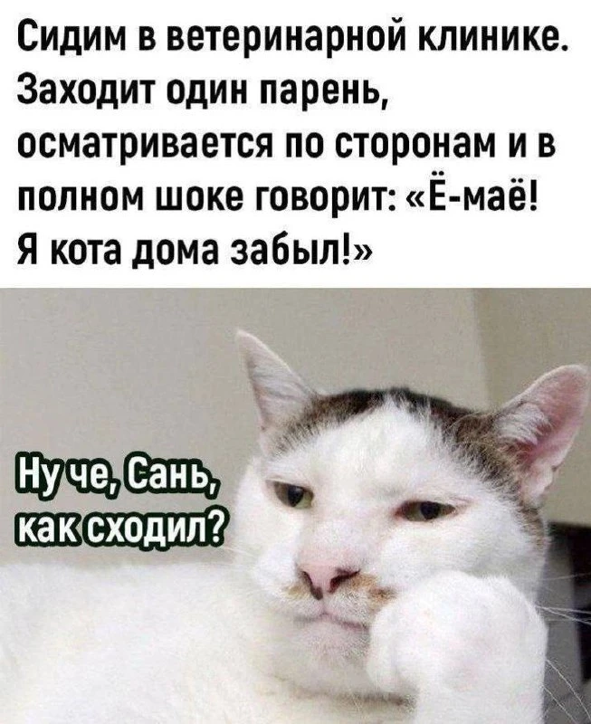 АНЕКДОТЫ ДЛЯ ВЗРОСЛЫХ 🍒
