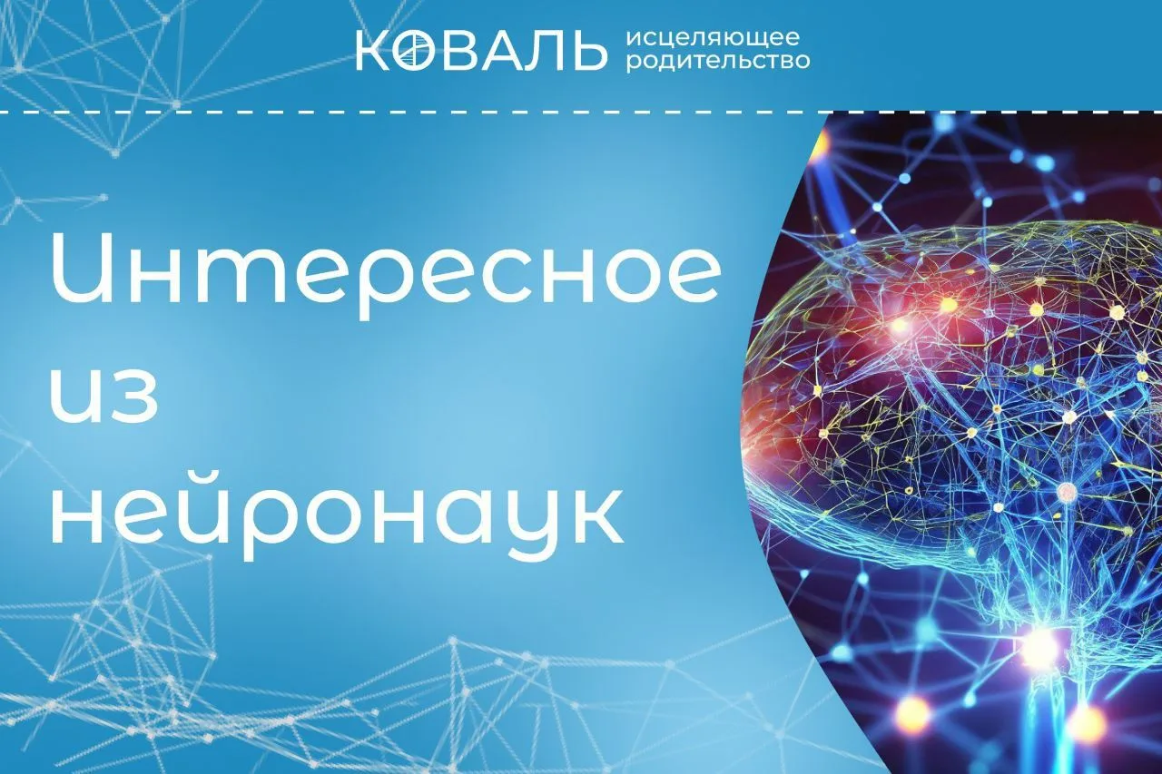 Ученые проанализировали данные почти 38 000 взрослых и обнаружили любопытное: чем больш...