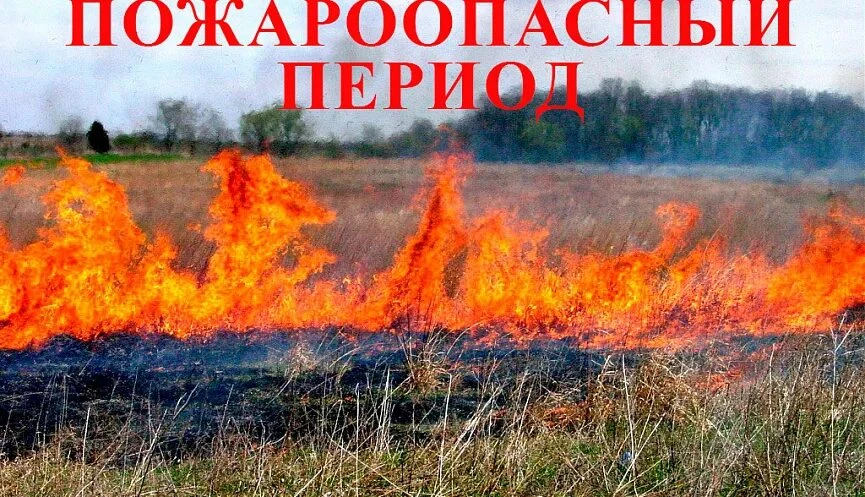 Уважаемые жители Лосевского сельского поселения!