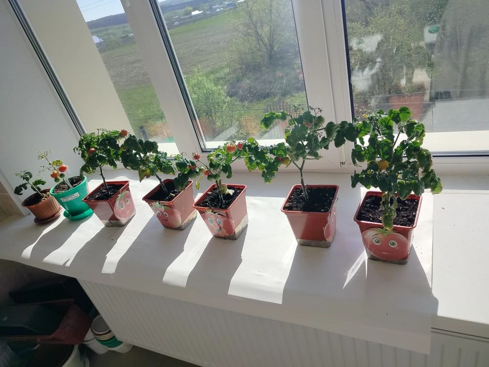 ✅"Новости с агролаборатории! 🌱🌱🌱