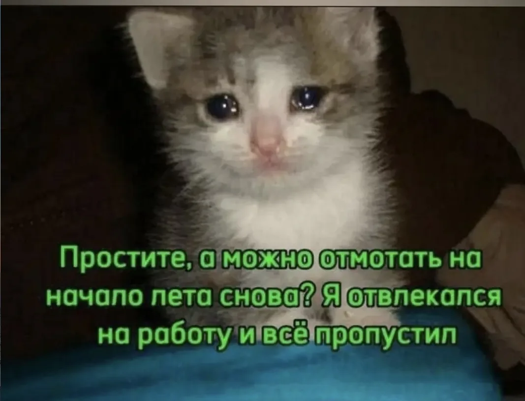Моё состояние 😂