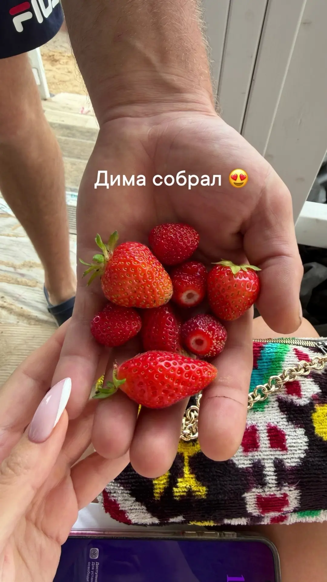 Собираем урожай ягод 🥰

Клубника и жимолость во всю зреют.

Розы мои распускаются, хочу и наслаждаю