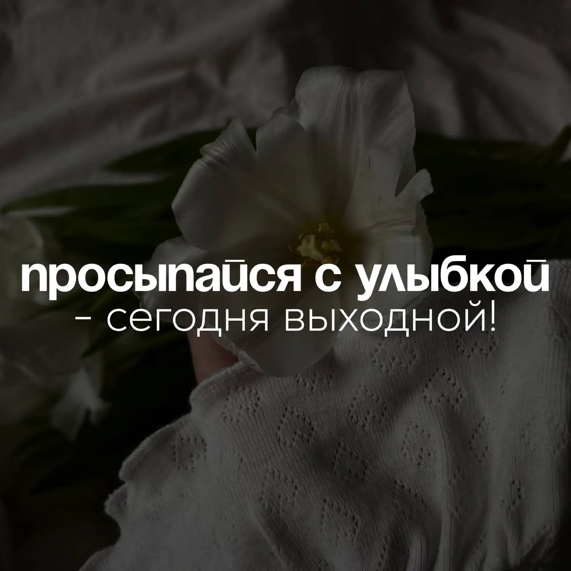 Пришла пожелать вам счастливого утра и уютного дня!
#утро

Ставьте ❤️ - если понравился набо