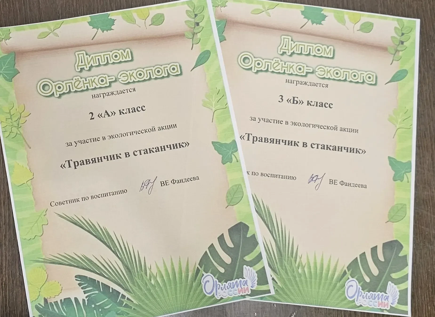 🌿Орлята-эколята приняли участие в важной экологической акции «Травянчик в стаканчик»  Ребята оригина