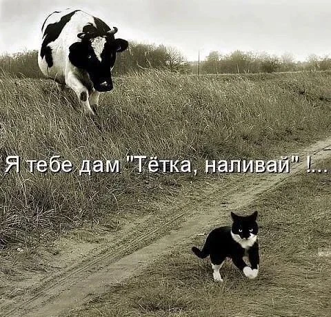 😅😅😅😅